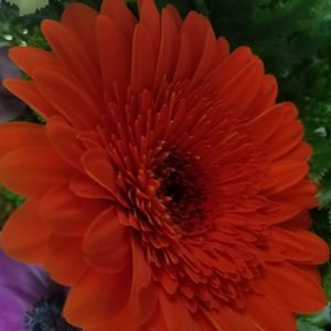 Meet your Posher, Mandi